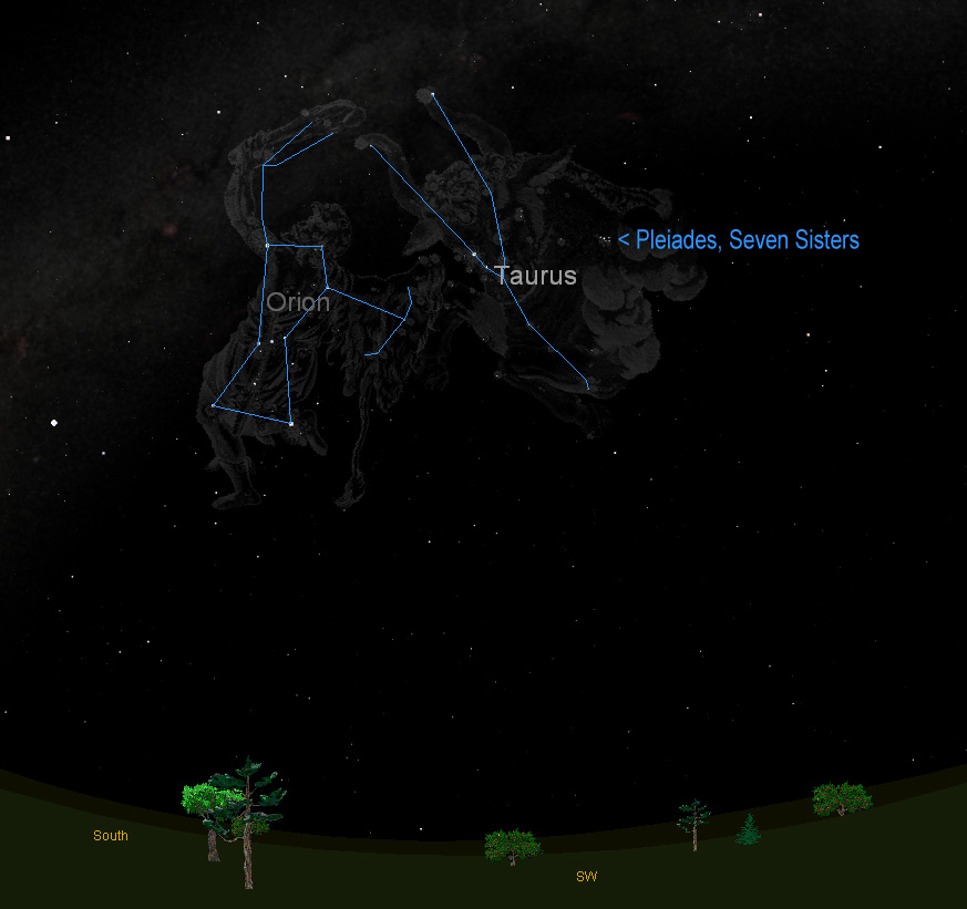 Hunting Star Clusters? Orion and Bull Constellations Point the Way
